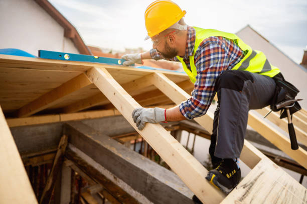 Roof Gutter Cleaning in Knightstown, IN
