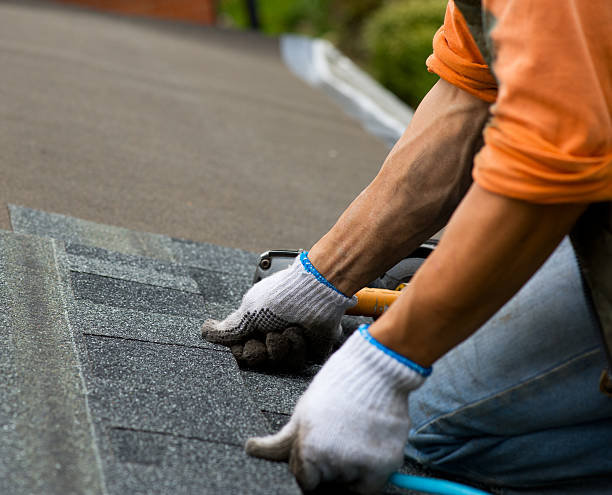 Best Roof Leak Repair  in Knightstown, IN